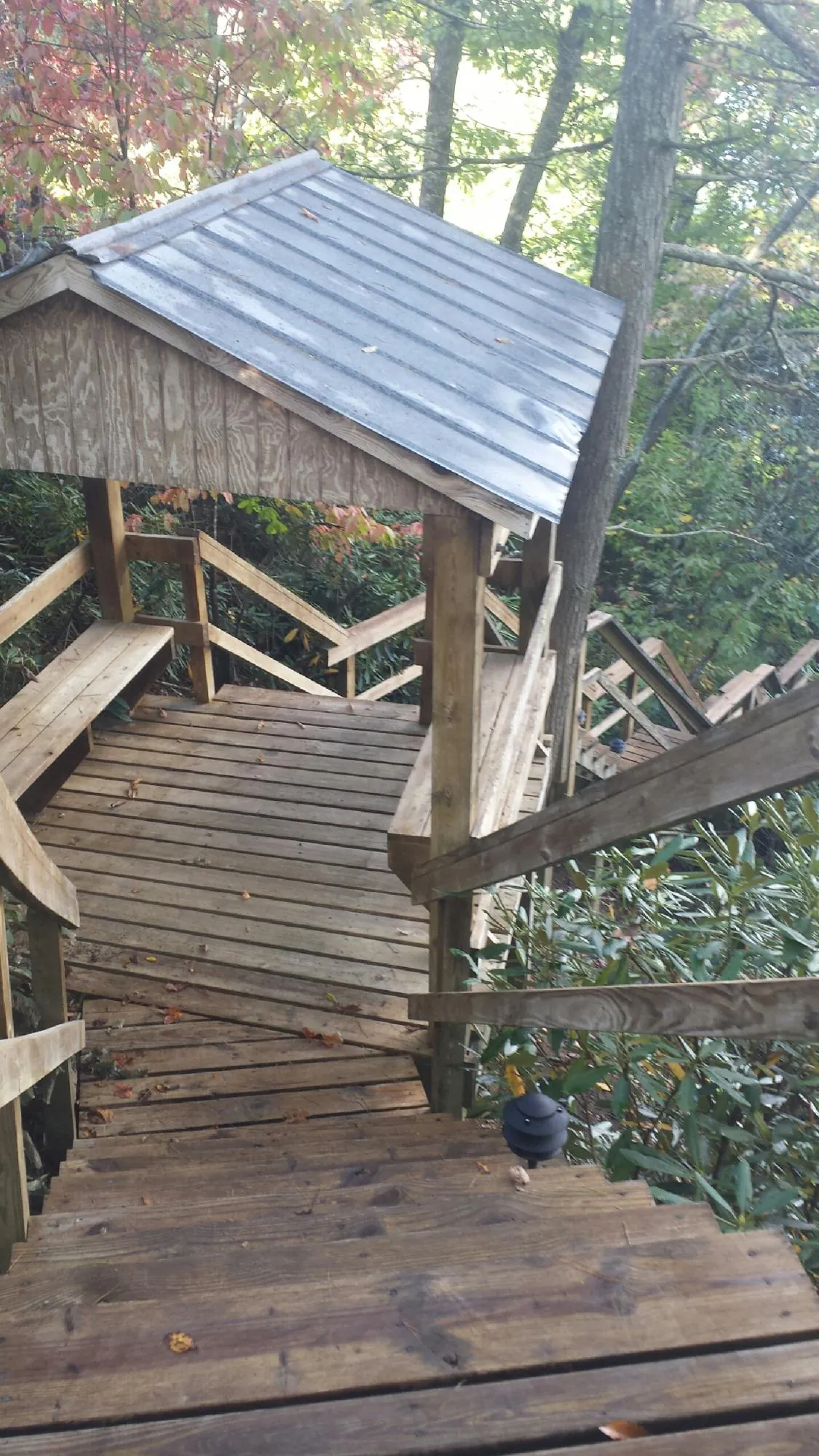 Metal roofed shelter over wooden steps on a wooded walkway — Skylight Repair & Installation work by our crew in La Center