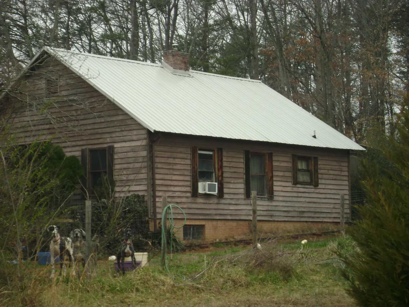 White metal roof on an old wood sided farmhouse in La Center